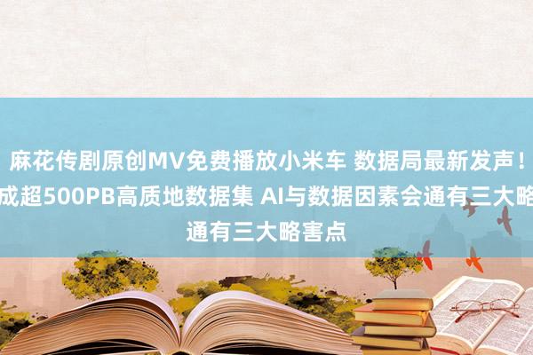 麻花传剧原创MV免费播放小米车 数据局最新发声！已建成超500PB高质地数据集 AI与数据因素会通有三大略害点